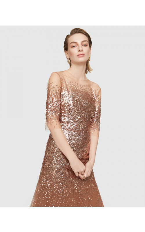 Sequin Overlay Illusion Gown