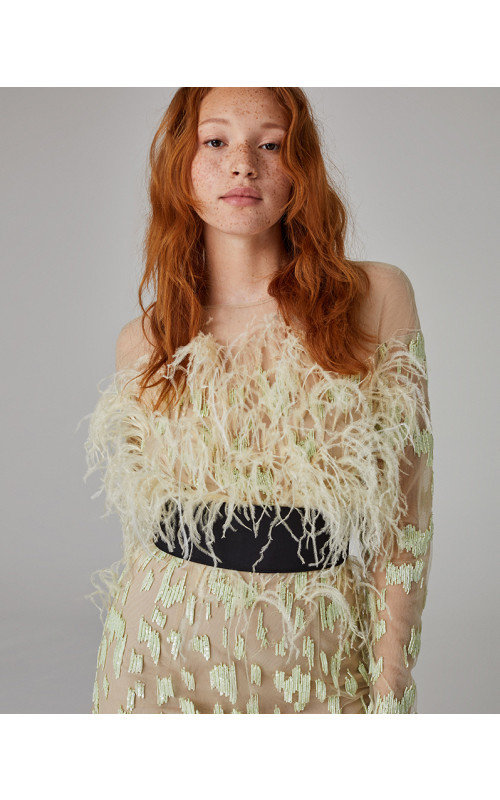 Feather Embroidered Mini Dress