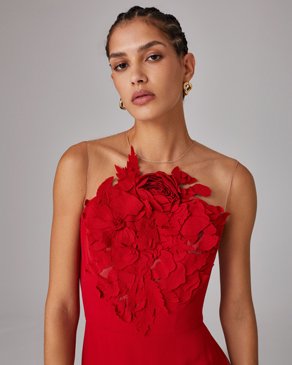 Cady Crimson Embroidered Gown